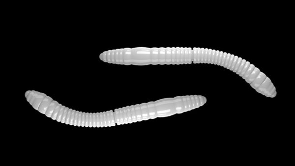 Fatty D'Worm Tournament 55 001 WHITE