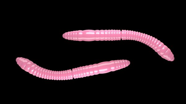 Fatty D'Worm Tournament 55 017 BUBBLEGUM