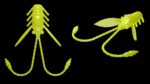 Pro Nymph 006 HOT YELLOW.jpg