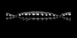 Larva MULTI 040 BLACK_1