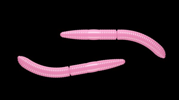 Fatty D'Worm 017 BUBBLEGUM.jpg
