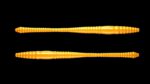Dying Worm 008 DARK YELLOW.jpg