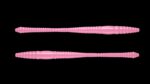 Dying Worm 017 BUBBLEGUM.jpg