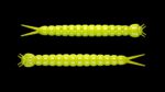 Slight Worm 027 APPLE GREEN.jpg