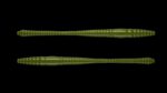 Dying Worm 031 OLIVE.jpg