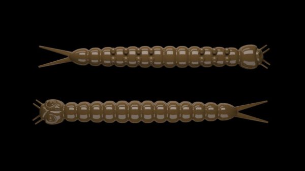 Slight Worm 038 BROWN.jpg
