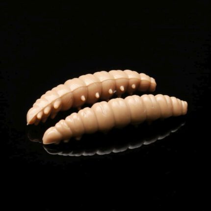 035Larva.jpg