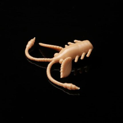 035PelettNymph.jpg