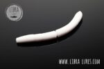 FATTY D'WORM - 001 WHITE.jpg