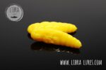 LARGO - 007 YELLOW