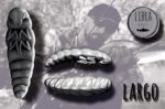 LARGO
